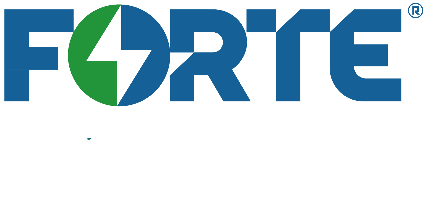 武漢孚特鋰能科技有限公司